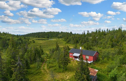 Bilde 1 av annonsen