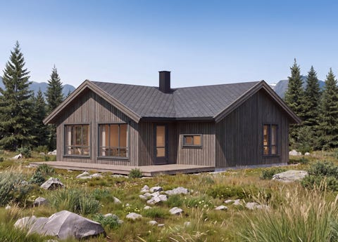 Bilde 1 av annonsen