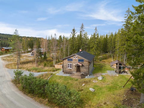 Bilde 1 av annonsen