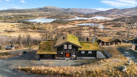 Bilde 1 av annonsen