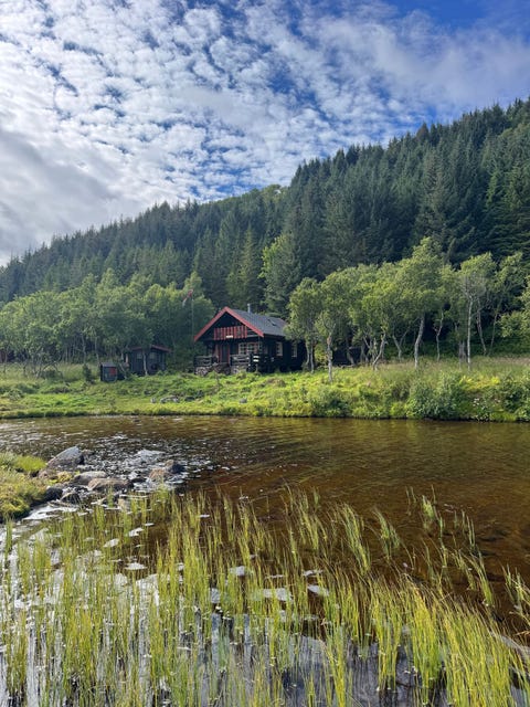Bilde 2 av annonsen