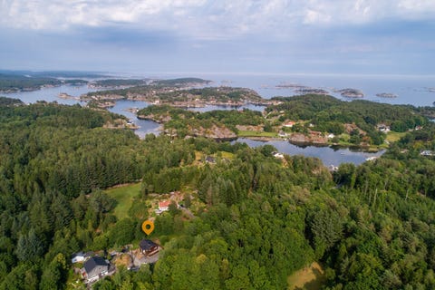 Bilde 2 av annonsen