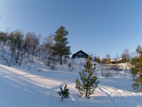 Bilde 2 av annonsen