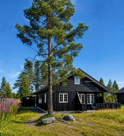 Bilde 1 av annonsen