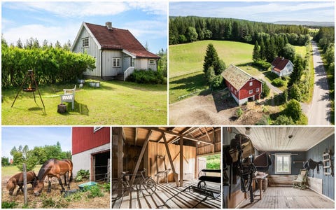 Bilde 1 av annonsen