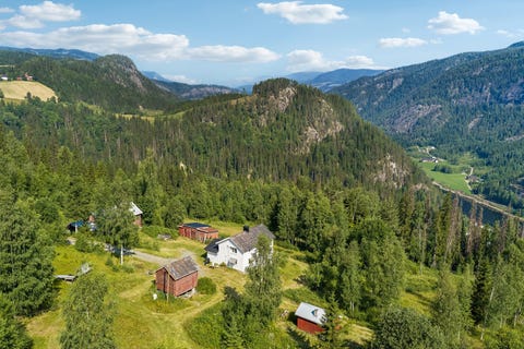 Bilde 1 av annonsen