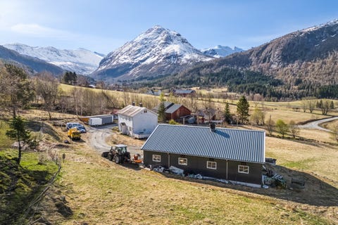 Bilde 1 av annonsen