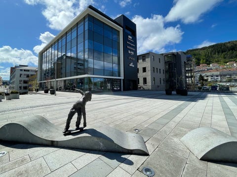 Bilde 2 av annonsen