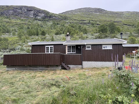 Bilde 1 av annonsen