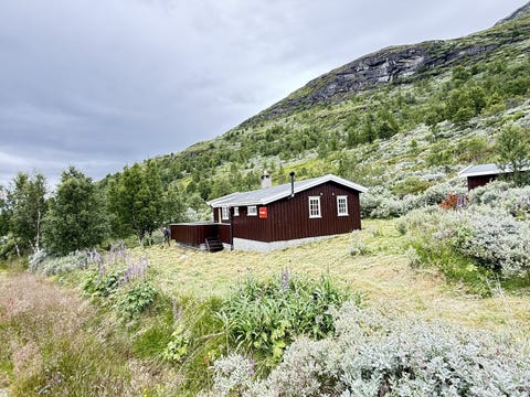 Bilde 2 av annonsen