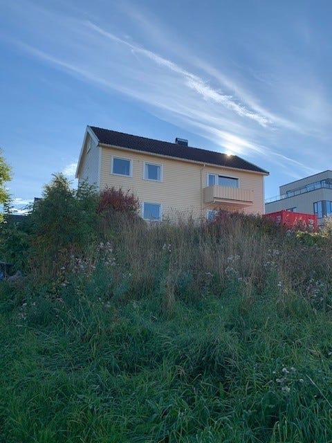 Bilde 2 av annonsen