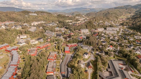 Bilde 1 av annonsen