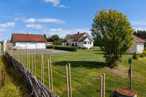 Bilde 1 av annonsen