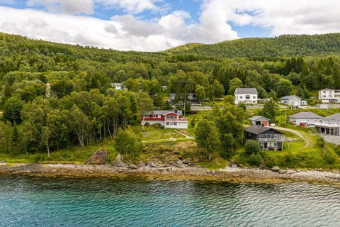 Bilde 1 av annonsen
