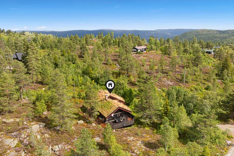 Skrim - Solid hytte med umiddelbar nærhet til naturen - fint utsyn - usjenert