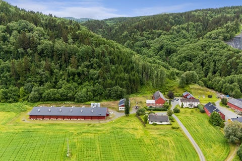 Bilde 1 av annonsen