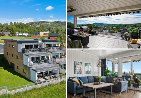 Bilde 1 av annonsen