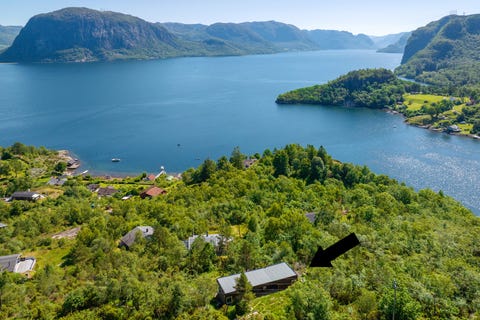 Bilde 2 av annonsen