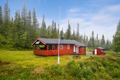 Bilde 1 av annonsen