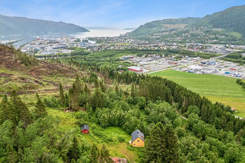 Bilde 1 av annonsen