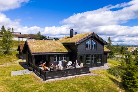 Bilde 2 av annonsen
