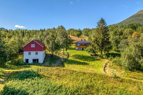 Bilde 1 av annonsen