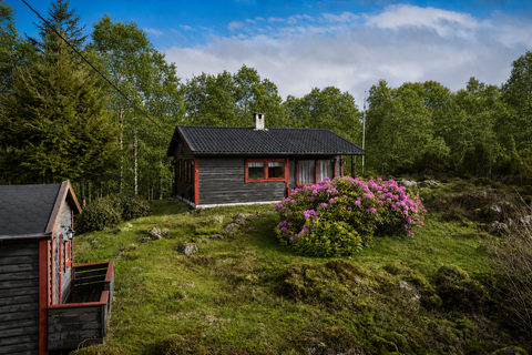 Bilde 1 av annonsen
