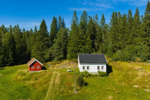 Bilde 1 av annonsen