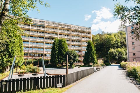 Bilde 2 av annonsen