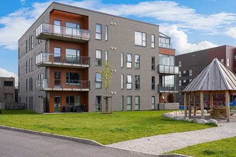 Bilde 1 av annonsen
