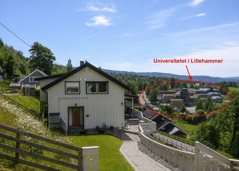 Bilde 1 av annonsen
