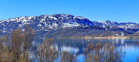 Bilde 2 av annonsen