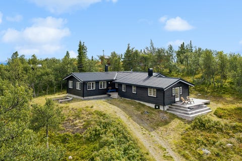 Bilde 1 av annonsen