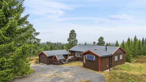 Bilde 1 av annonsen