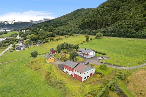 Bilde 1 av annonsen