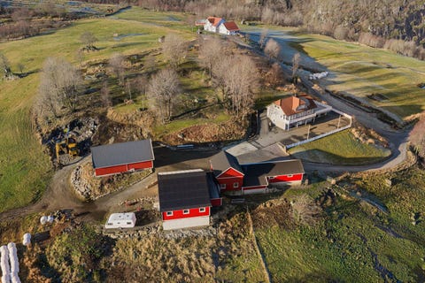 Bilde 1 av annonsen