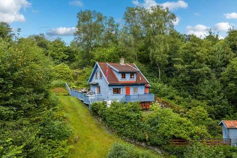 Bilde 1 av annonsen