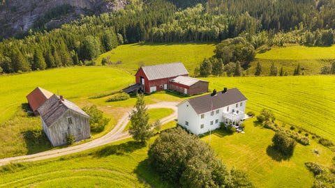 Bilde 1 av annonsen