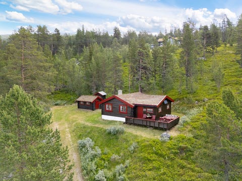 Bilde 1 av annonsen