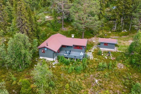 Bilde 1 av annonsen