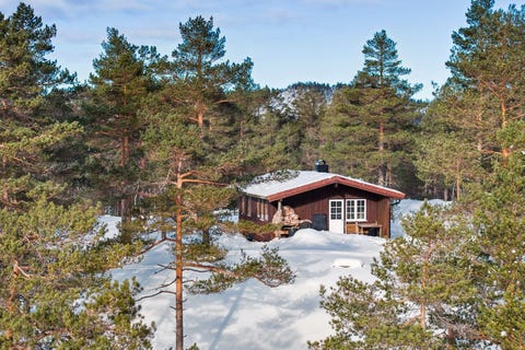 Bilde 1 av annonsen
