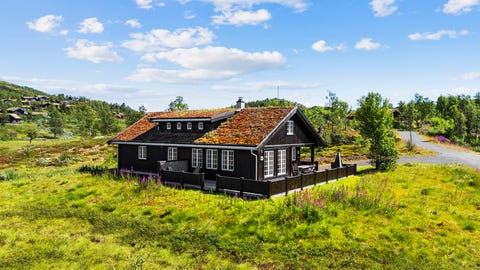 Bilde 1 av annonsen