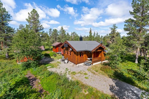 Bilde 1 av annonsen
