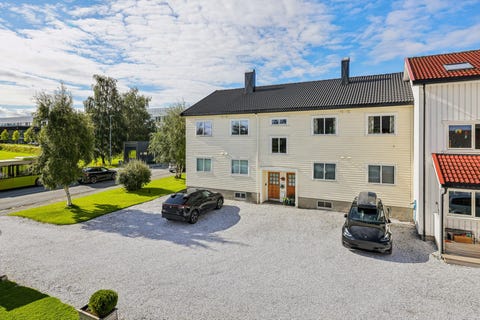 Bilde 1 av annonsen
