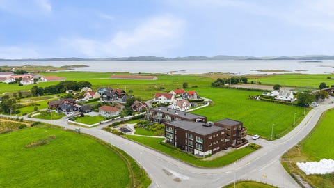 Bilde 1 av annonsen