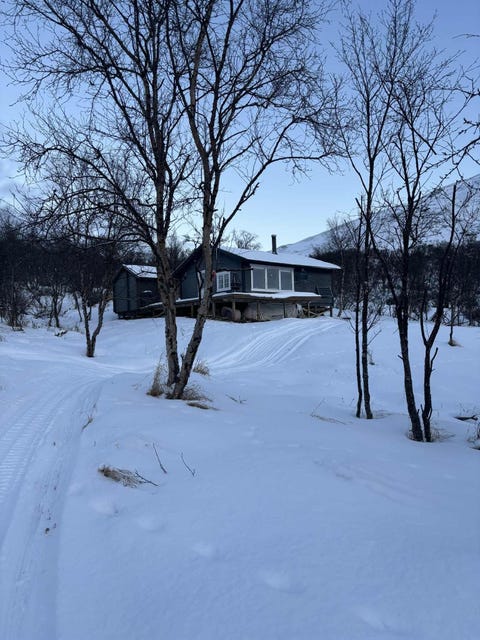 Bilde 1 av annonsen