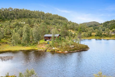 Bilde 1 av annonsen