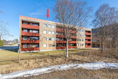 Bilde 1 av annonsen