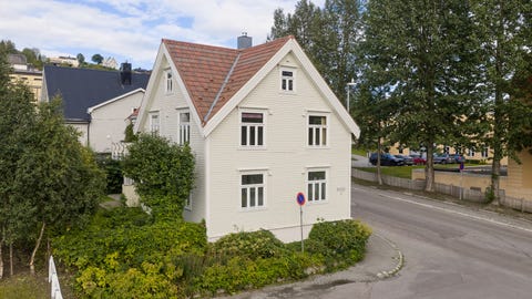 Bilde 1 av annonsen