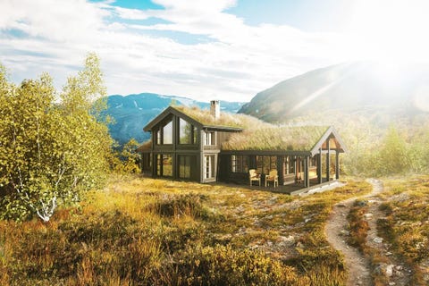 Bilde 1 av annonsen
